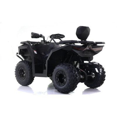 Pracovná terénna štvorkolka Leramotors by APOLLO Cyber Roamer T3B 270 čierna