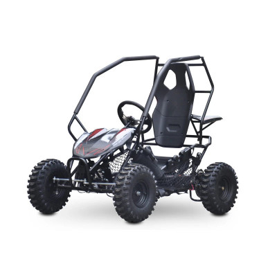 Buggy Leramotors Razor II Deluxe 1000W Black