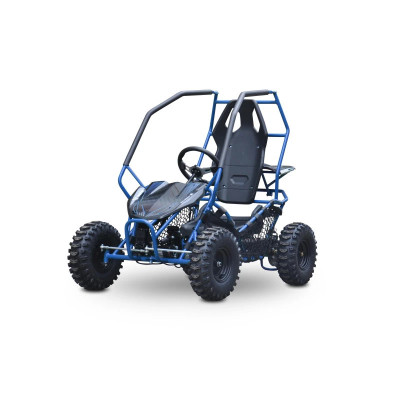 Buggy Leramotors Razor II Deluxe 1000W Blue