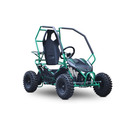 Buggy Leramotors Razor II Deluxe 1000W Green