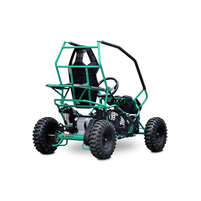 Buggy Leramotors Razor II Deluxe 1000W Green