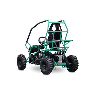 Buggy Leramotors Razor II Deluxe 1000W Green