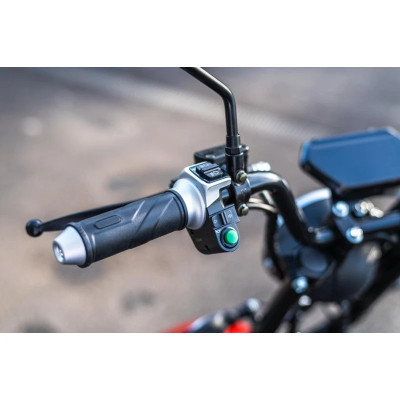 Elektrická kolobežka Leramotors Scooters C2 2000W BLACK