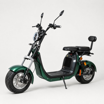 Elektrická kolobežka Leramotors Scooters C2 2000W GREEN