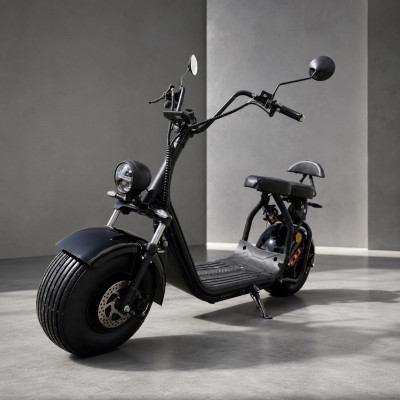 Elektrokolobežka Lera Scooters C1+ 1500W BROWN
