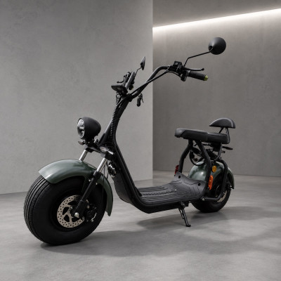 Elektrokolobežka Lera Scooters C1+ 1500W GREEN