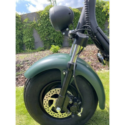 Elektrokolobežka Lera Scooters C1+ 1500W GREEN