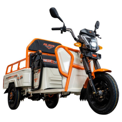 Elektrická nákladná trojkolka RURIS Pilot 3110 2000 W Biela