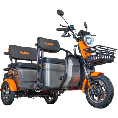 Elektrická trojkolka RURIS Pilot 3040A 2000 W so strechou GREY