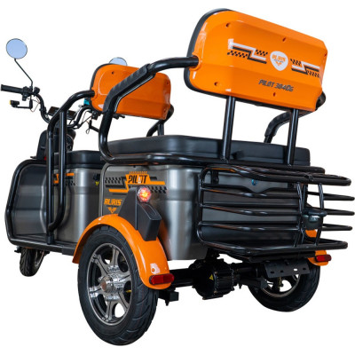 Elektrická trojkolka RURIS Pilot 3040A 2000 W so strechou GREY