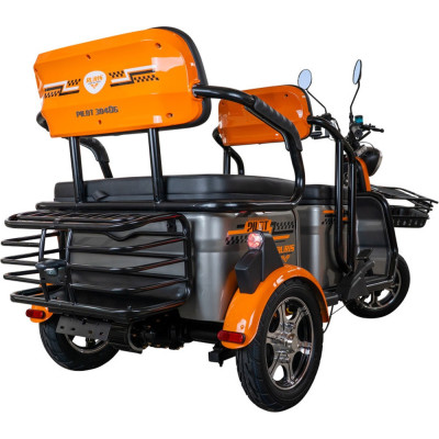 Elektrická trojkolka RURIS Pilot 3040A 2000 W so strechou GREY