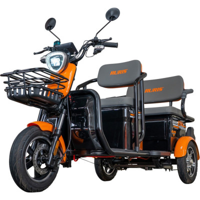 Elektrická trojkolka RURIS Pilot 3040A 2000 W so strechou BLACK
