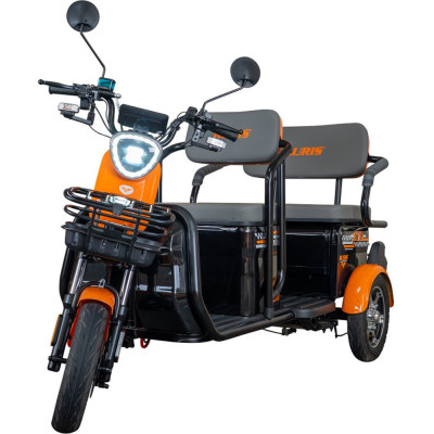 Elektrická trojkolka RURIS Pilot 3040A 2000 W so strechou BLACK