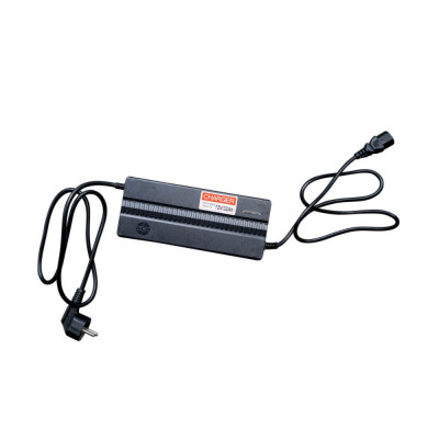 Elektrická trojkolka RURIS Pilot 3070N 2500 W GREY