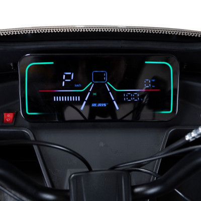 Elektrická trojkolka RURIS Pilot 3070N 2500 W GREY